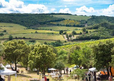 vignes jardin de schiste faugères