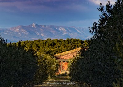 vue pézenas