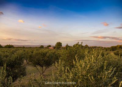 photo paysage terroir de pézenas