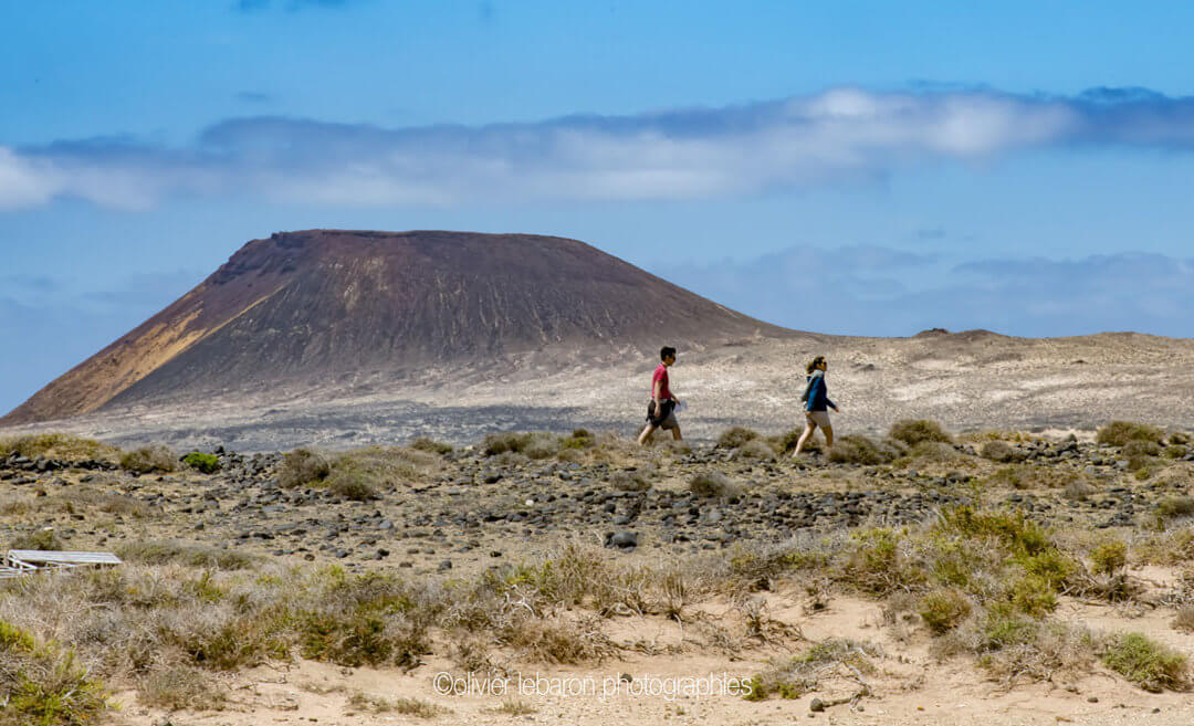 Lanzarote, une ile volcanique et des vignes sur du basalte