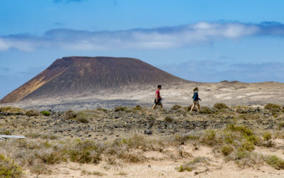 Lanzarote, une ile volcanique et des vignes sur du basalte