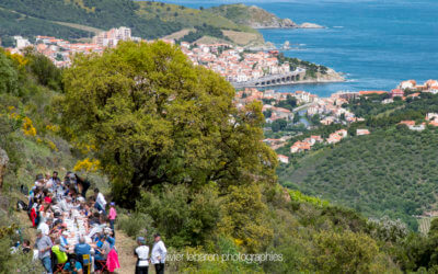 20ème Ascension des vignes du seigneur à Banyuls sur Mer