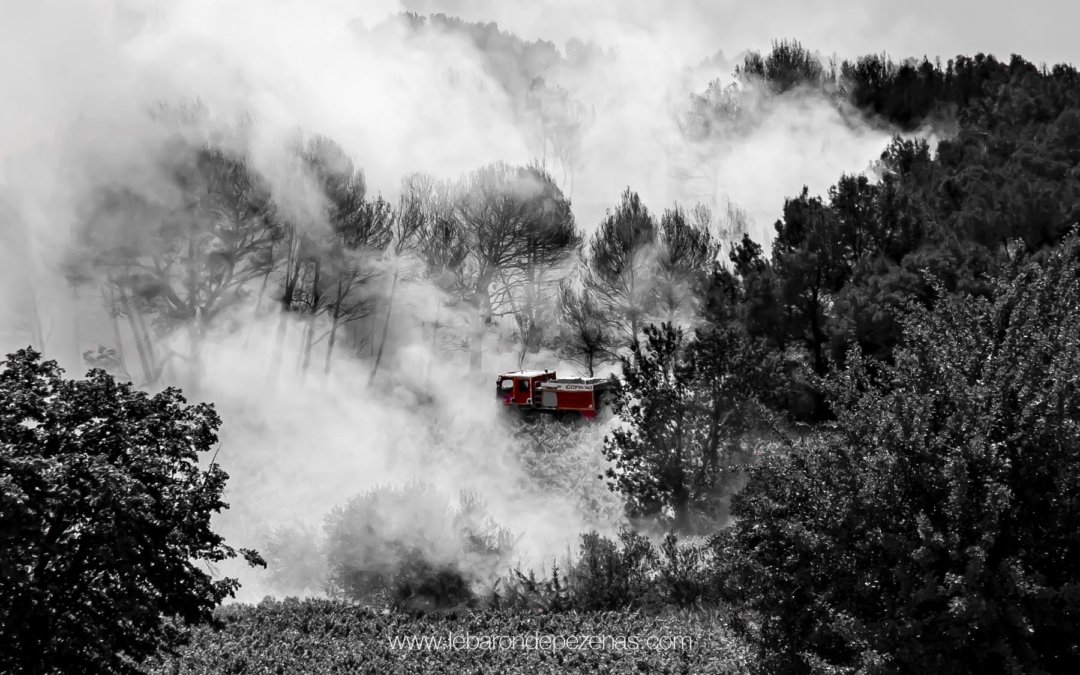 Au coeur d’un feu de foret, les pompiers luttent contre l’incendie