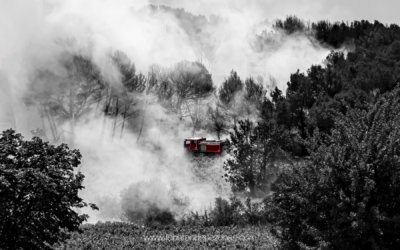 Feu de foret dans les vignes, les pompiers luttent contre l’incendie