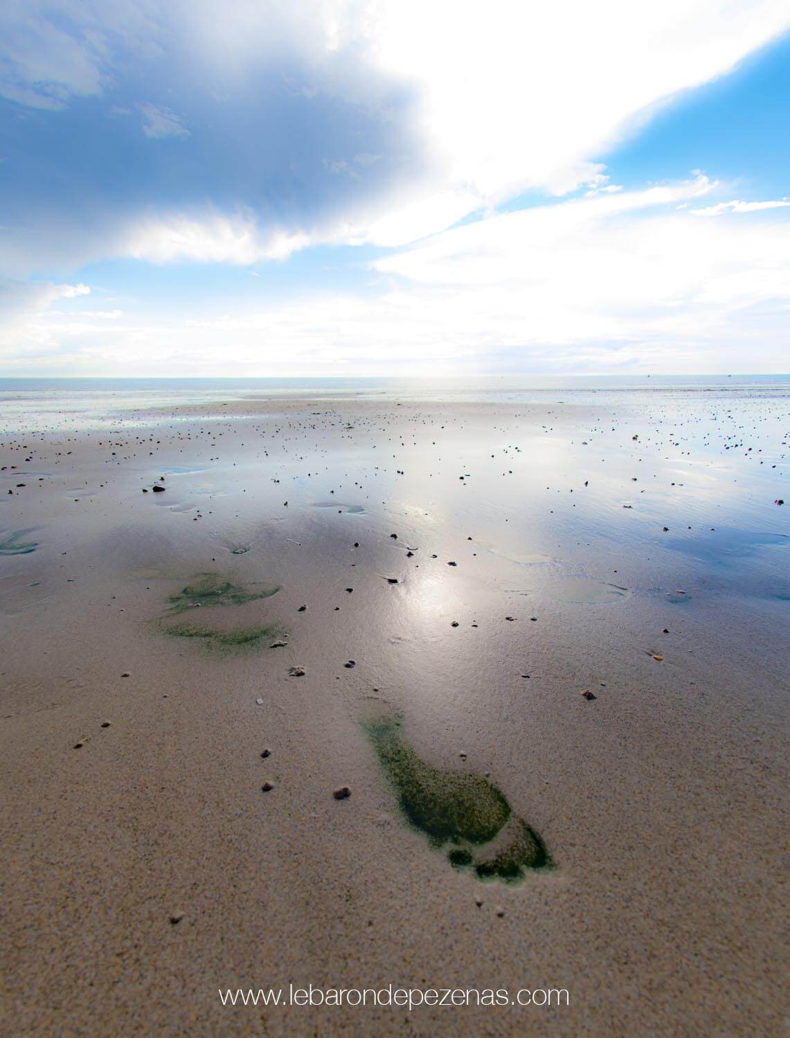 photographie bord de mer exposition photo