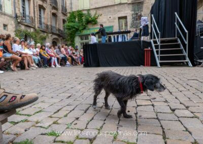 la chaussure, le chien et le théâtre