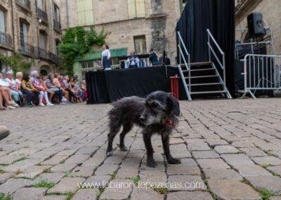 théâtre de rue à pézenas