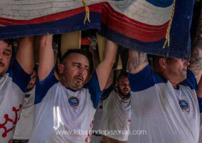 carnaval de pezenas poulain mardi gras