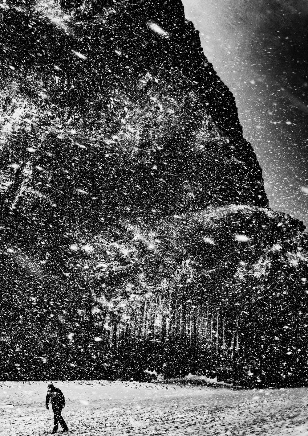 expo photo photographe france artiste noir et blanc