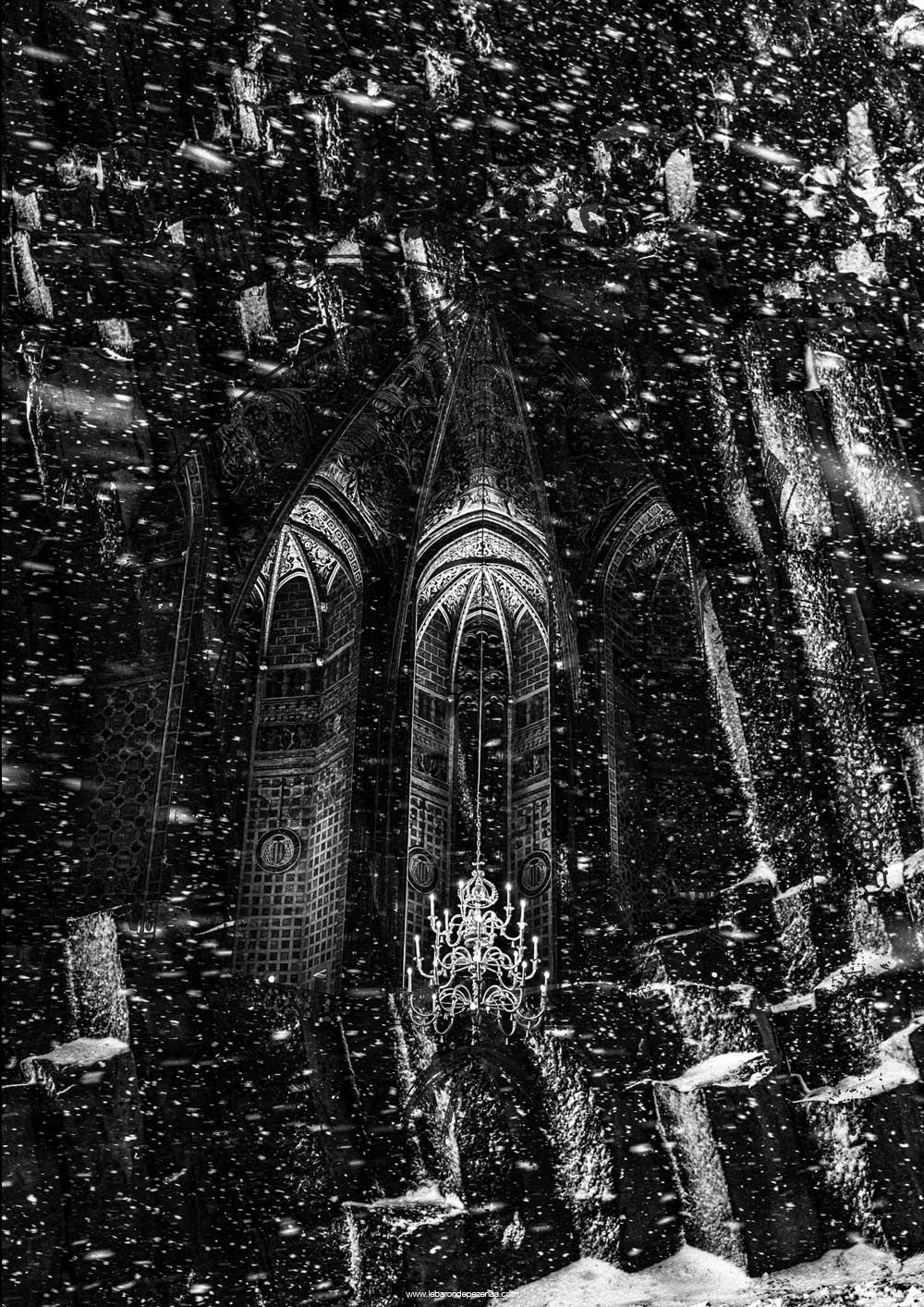 photographe france artiste